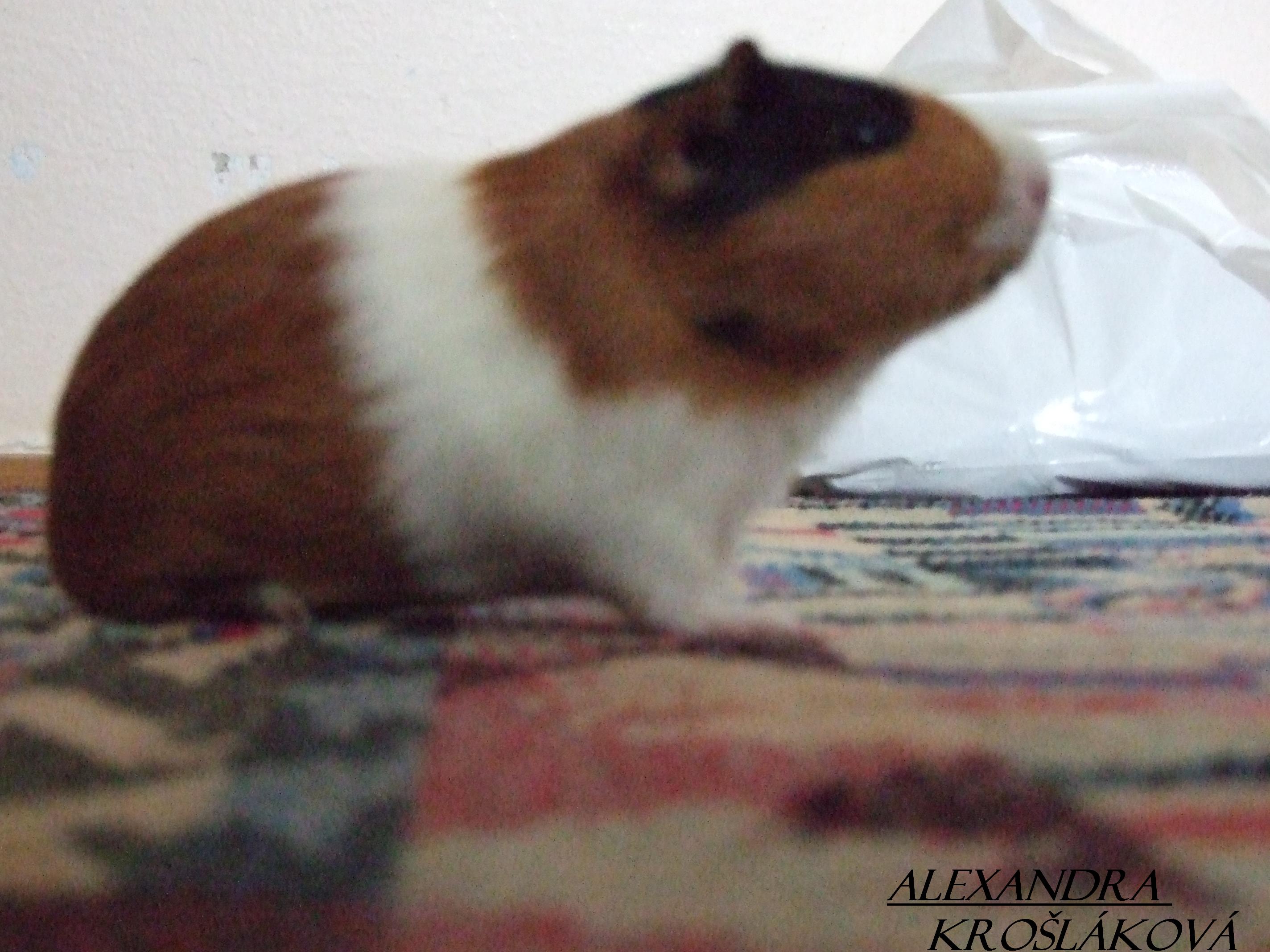 Dscf1838.jpg