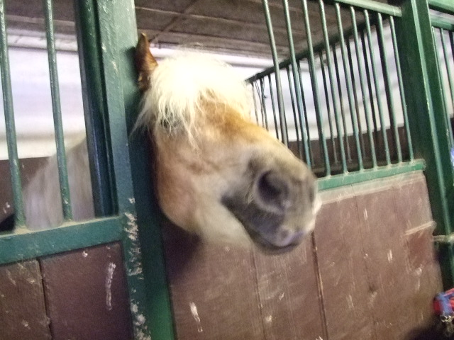 Dscf2065.jpg