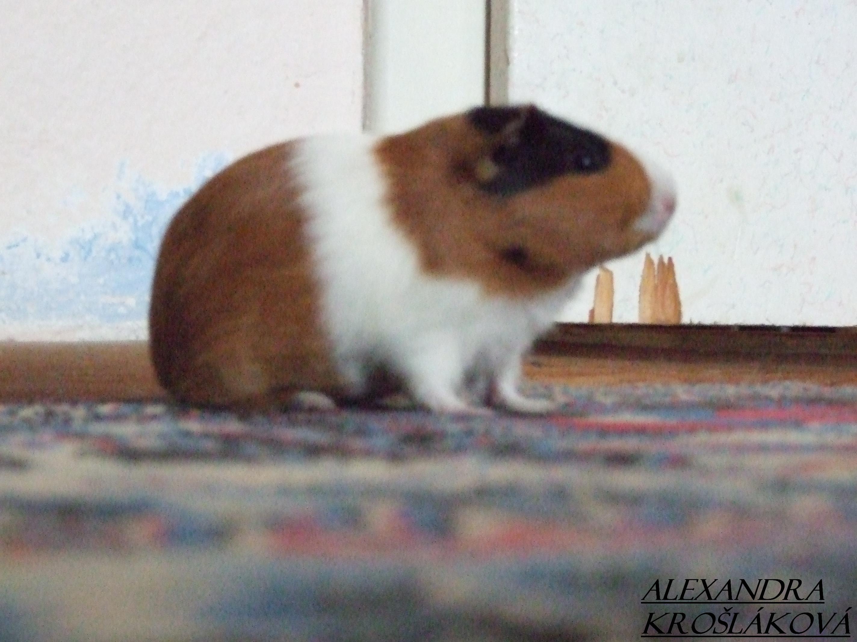 Dscf1839.jpg