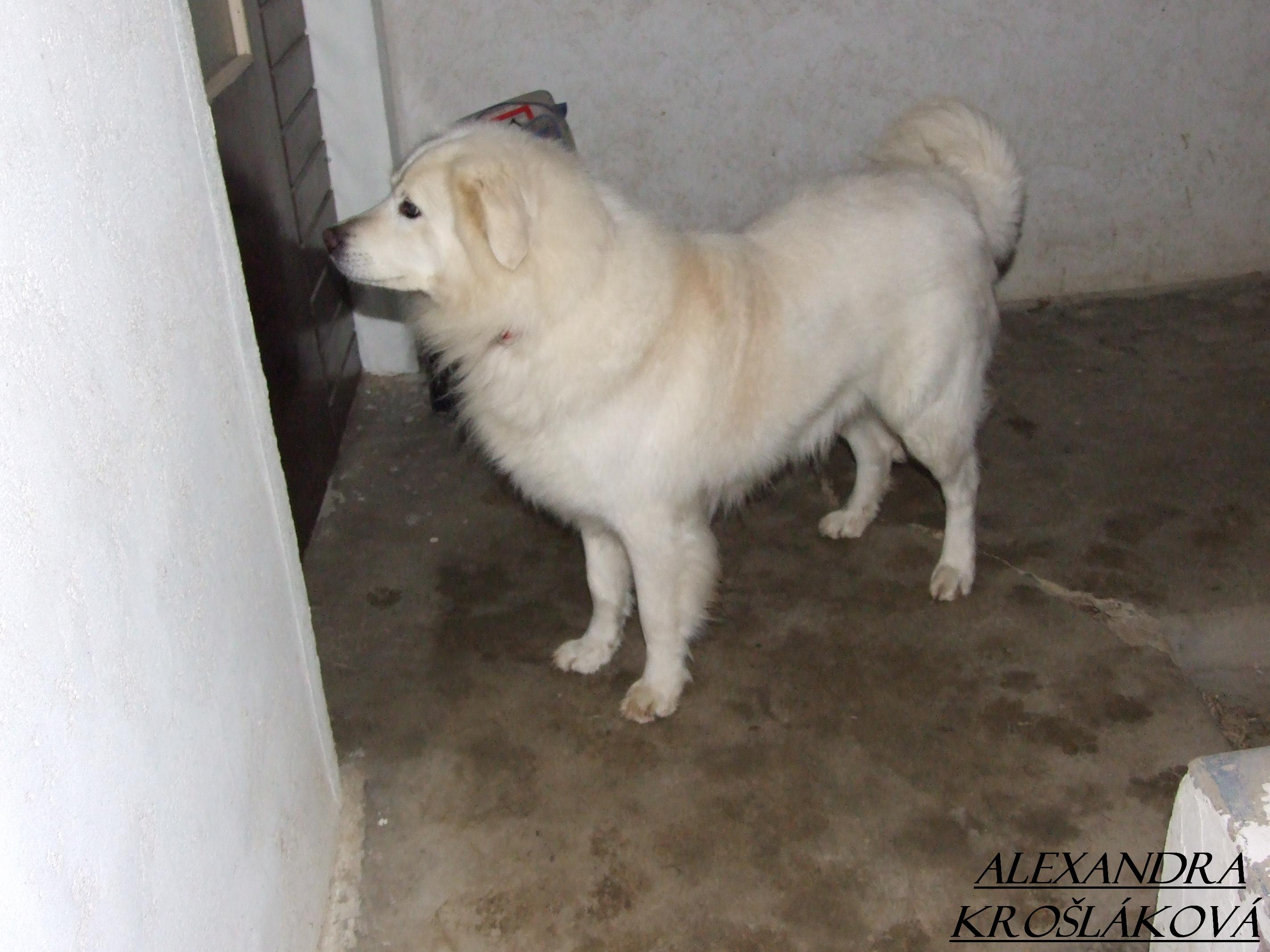 Dscf1809.jpg