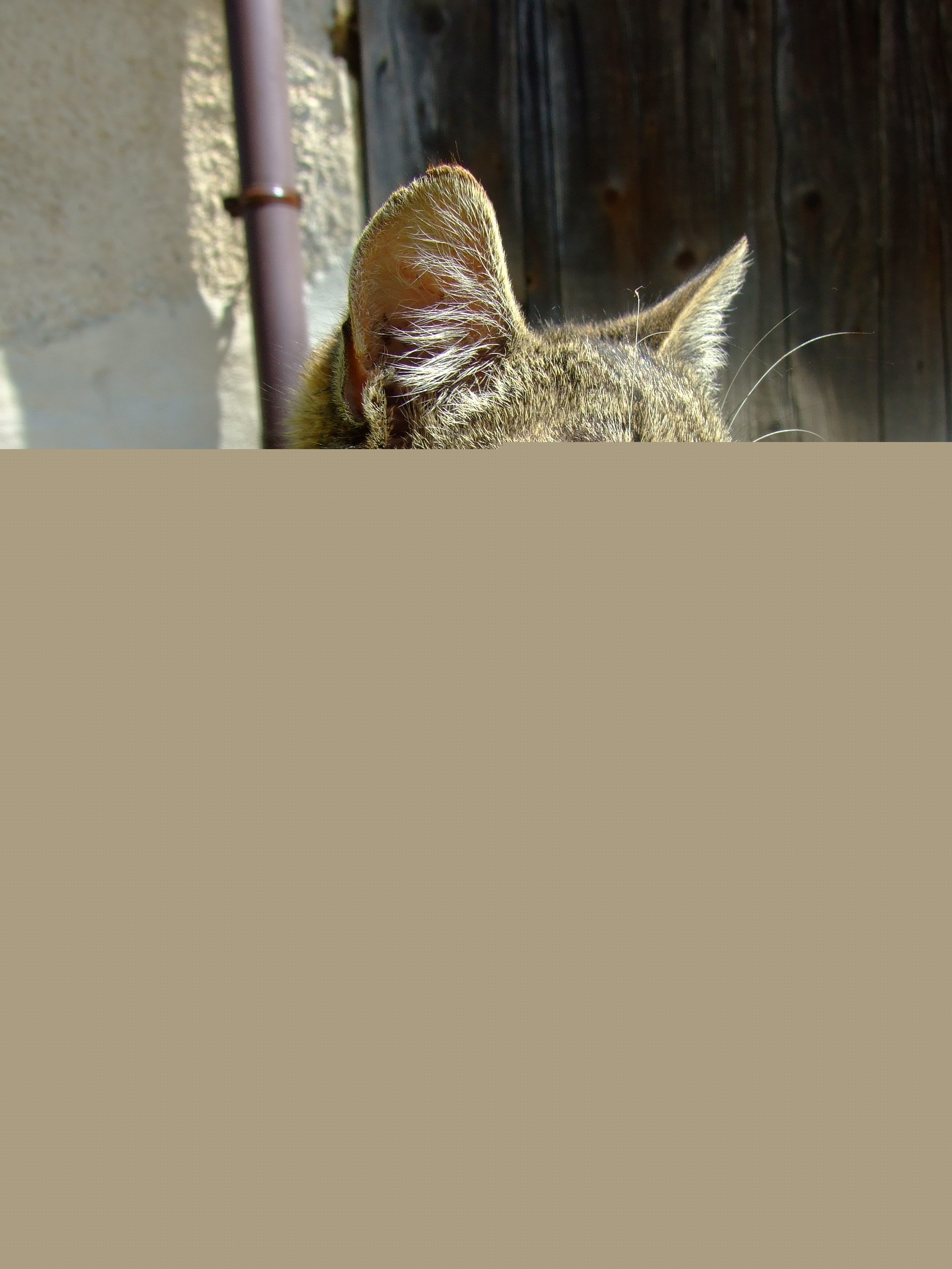 Dscf3689.jpg