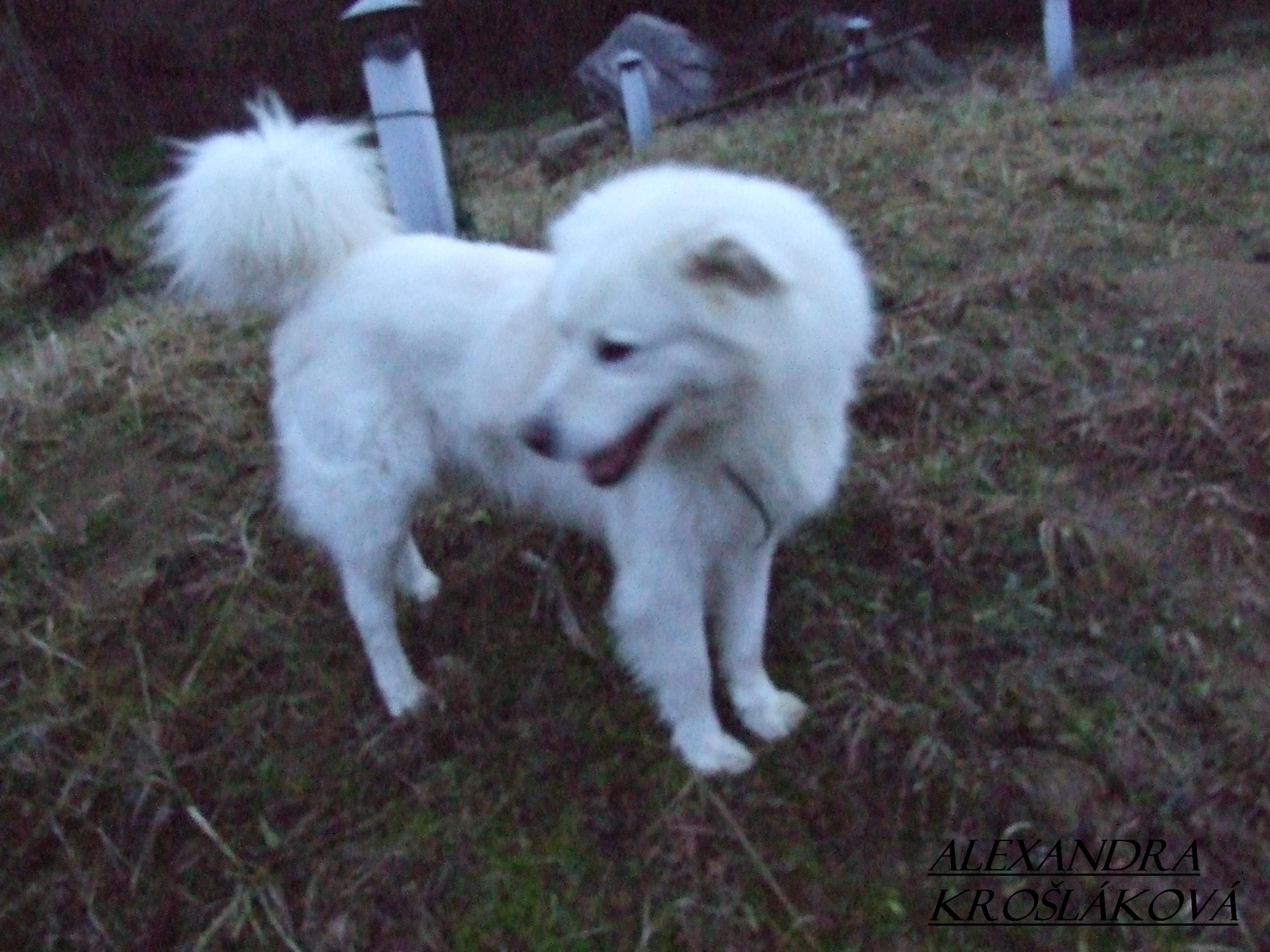Dscf1845.jpg