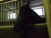 Dscf2066.jpg