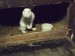 Dscf2043.jpg