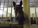 Dscf2061.jpg